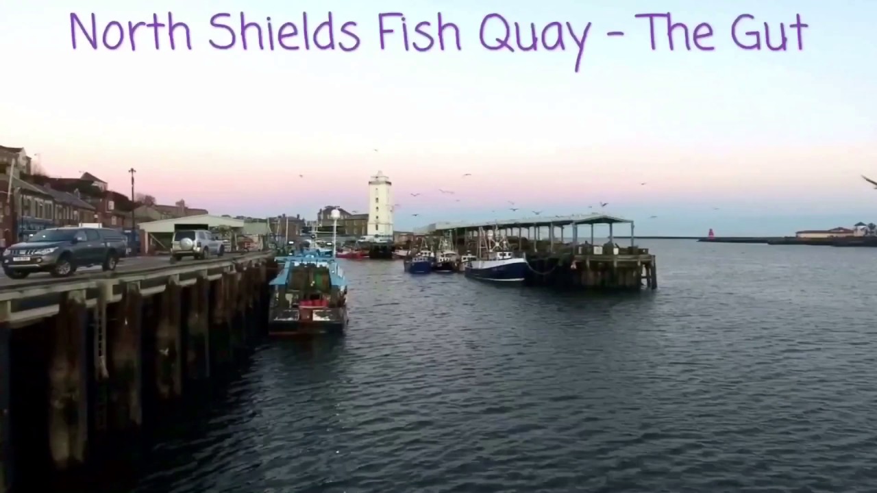 North Shields Fish Quay The Gut YouTube