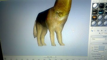 Low Poly 3d animated Wolf