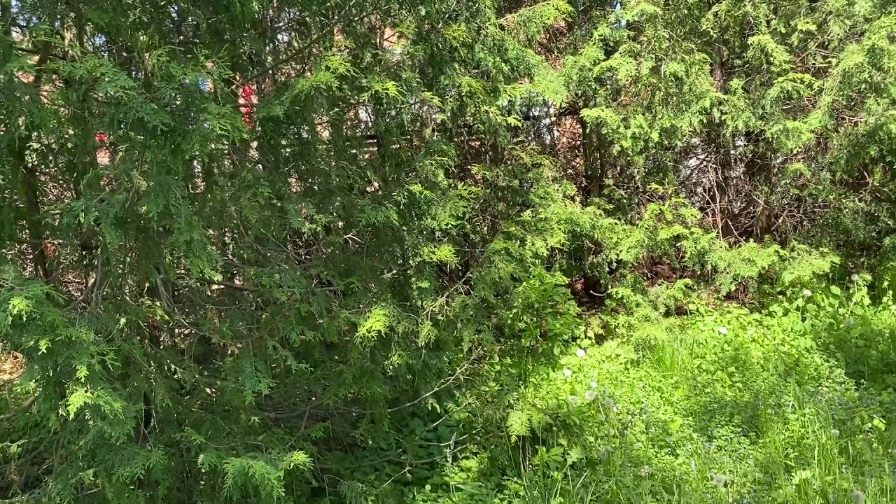 YOUR THERAPEUTIC NATURE WALK