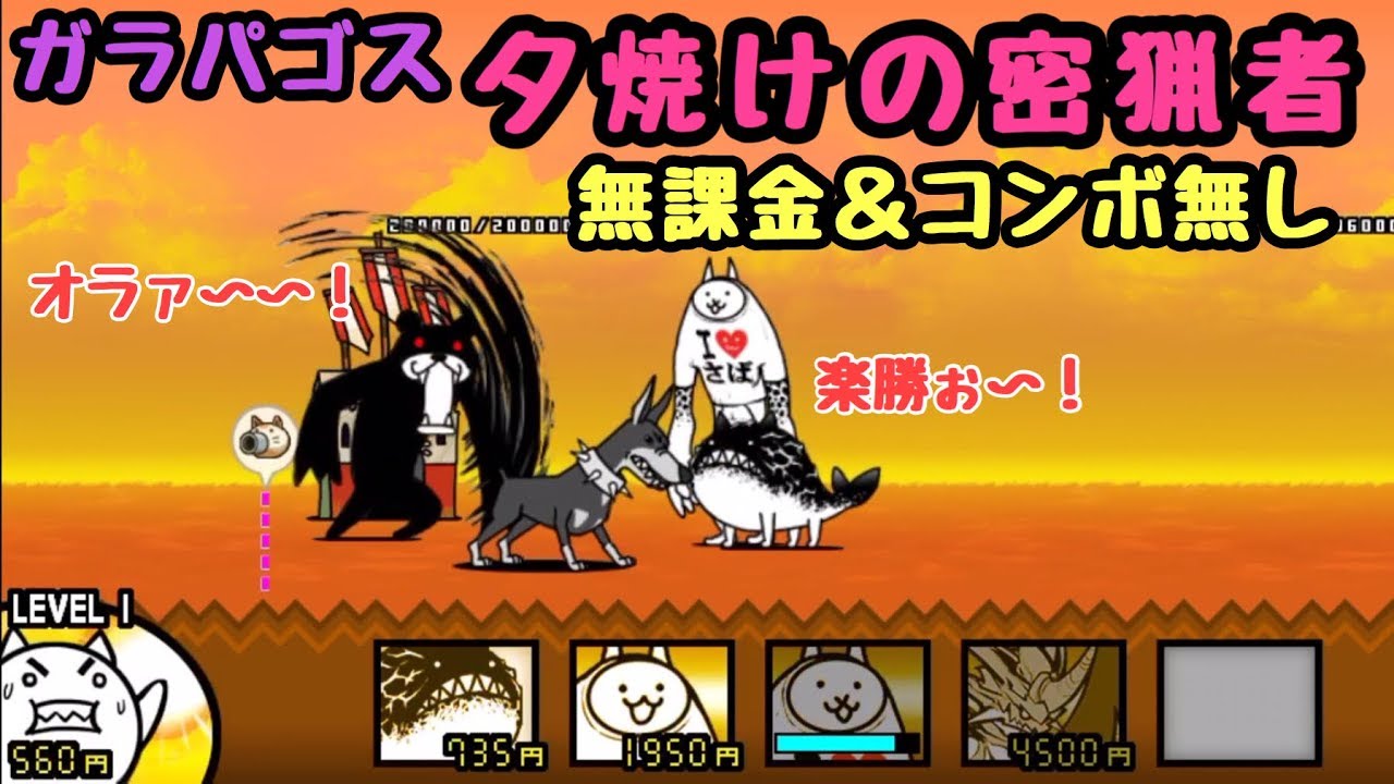 にゃんこ 夕焼け の 密猟 者