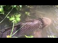 Fishing hunting video 2025