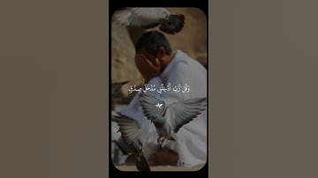 ومن الليل فتهجد به نافلة لك 🤍 #ماهر_المعيقلي #سورة_الإسراء #قرآن #قران_كريم #راحة_نفسية
