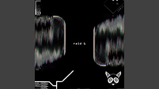 Raid 6