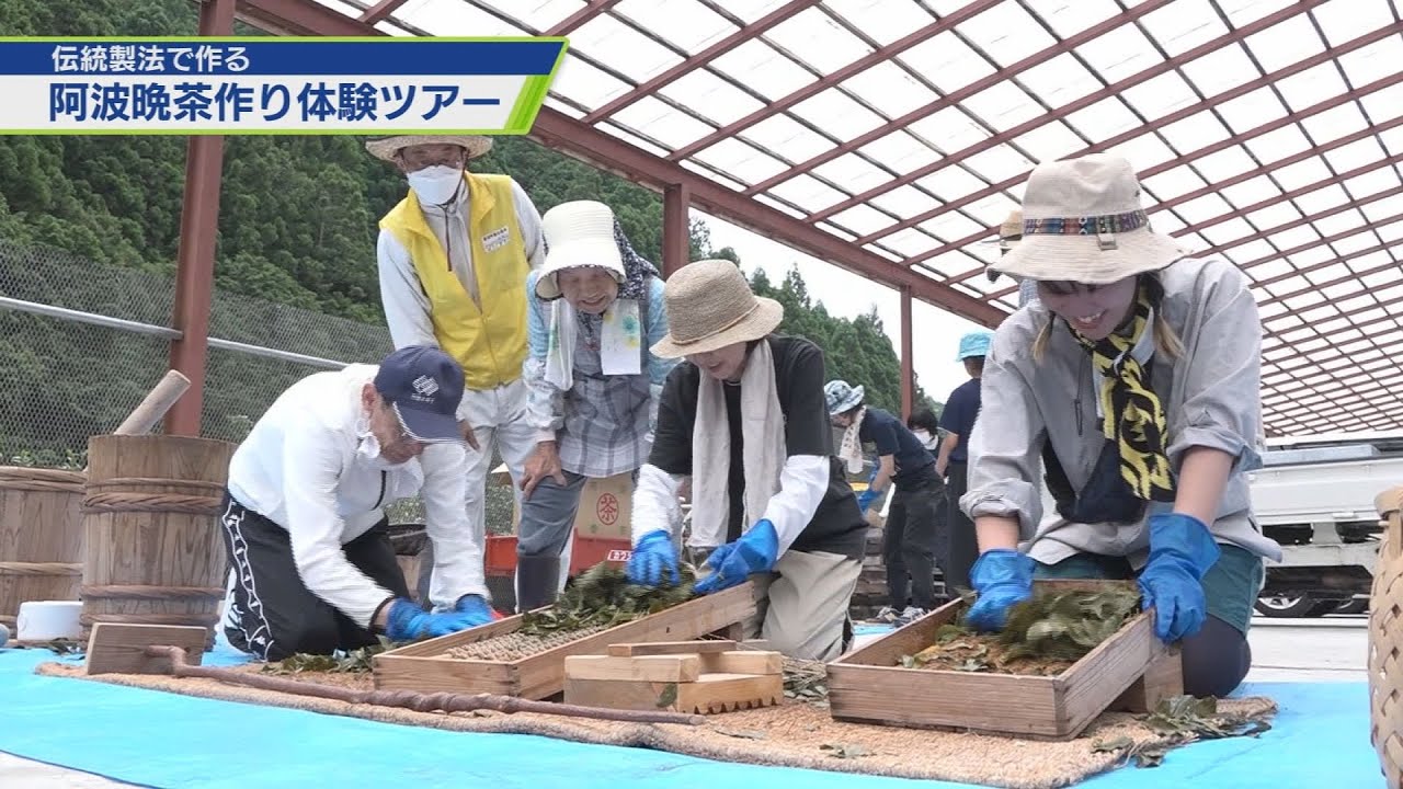 美波町赤松で晩茶づくり体験【テレビトクシマ】 - YouTube