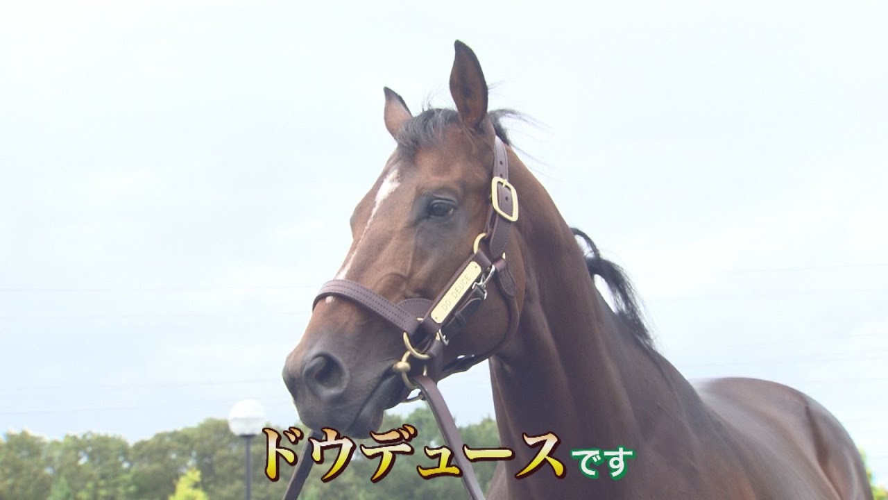 【ドウデュースに会いに行こう！】さらにキタサンブラックとイクイノックスも登場！競馬好きのおじさん2人が行く「名馬を訪ねて」完全版！