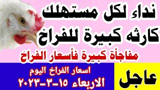 اسعار الفراخ البيضاء اليوم / سعر الفراخ اليوم الاربعاء 15-3-2023 في مصر جمله وقطاعي