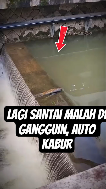 woy lagi santai kawan #shorts