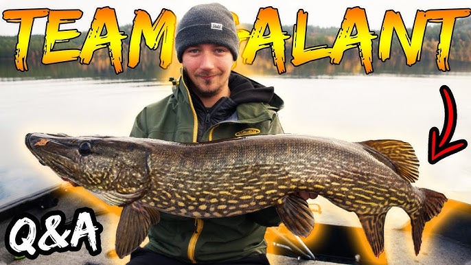 Fishing For Pike In Autumn Team Galant's 2024