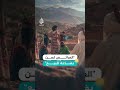 "العرائس لسن بضاعة للبيع".. تفنيد الشائعات عن موسم الخطوبة