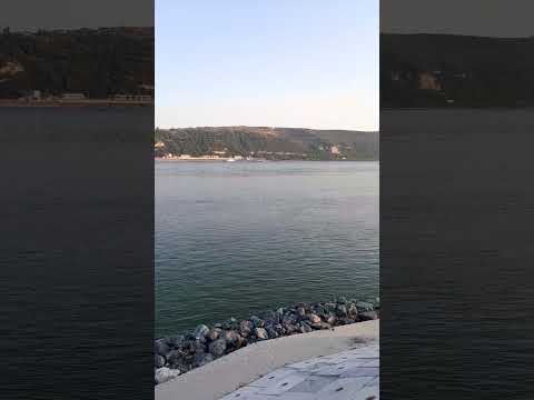 Portul Turistic Turnu