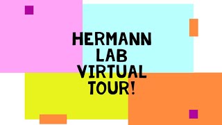 Hermann Lab Virtual Tour!