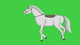 Horse green screen running effect/white horse green screen video