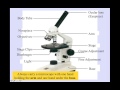 Microscope Basics Quiz