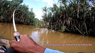 Tried to go for gourami but got bothered by a savage predator