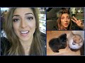 STALKING HOT MEN & PUPPY MADNESS! #VLEEK | Amelia Liana