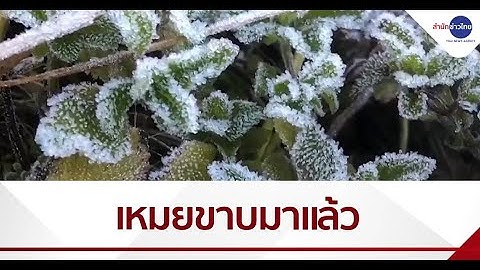 เกิดน้ำค้างแข็งที่อินทนนท์ หลังอุณหภูมิเหลือ 3 องศาฯ
