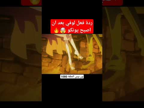 ردة فعل لوفي بعد ان اصبح يونكو Anime Onepiece 