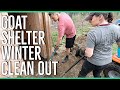 Goat Shelter Winter Clean Out ||So Much Wasted Hay!||