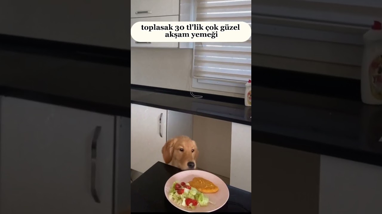 öğrenci evimde uygun fiyatlı akşam yemeği hazırlayalım