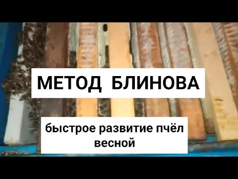 Метод Блинова. Быстрое развитие пчелиных семей весной. Весенние работы на пасеке.