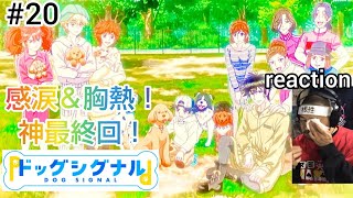 ドッグシグナル 同時視聴