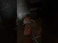 #cat #catvideos #love #browncat