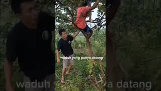 Download Lagu isuk knh ges ribut #lucu #tipeketawa #tipeketawa #funny #komeng #komeng #comedy #seharianlucu MP3