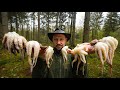 Baby-Oktopus im Wald grillen | ASMR Outdoor cooking