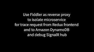 Use Fiddler as reverse proxy to isolate microService for trace request from frontend and to DynamoDB