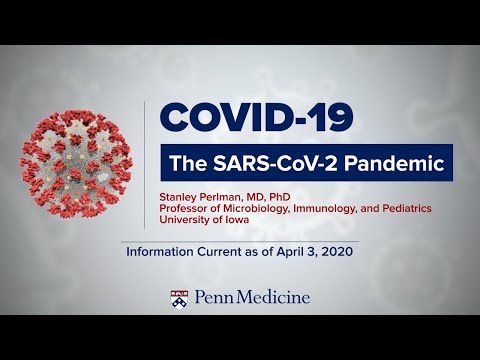 Video: Coronavirus. Here are the places where it is easiest to get SARS-CoV-2 infection