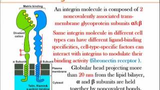 BIO734_Topic132