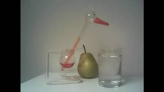 Very happy drinking bird!!! Rare footage