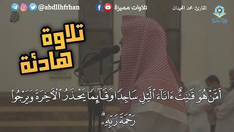 محمد اللحيدان || من أروع العشائيات ؛ تلاوة هادئة - { أمن هو قانت آناء الليل ساجدا وقائما }