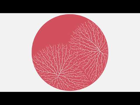 Space colonization (2D) - bounding shapes