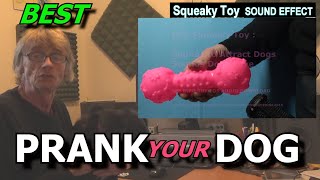 Sounds Dogs Love Most Collection  #prankyourdog #squeaky