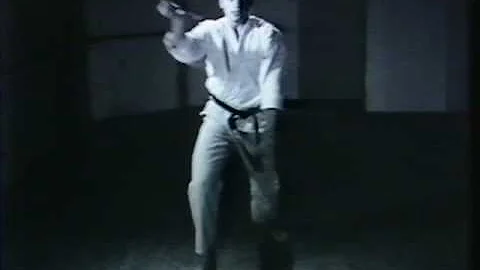 Darren Performing Karate.mpg