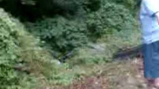 Throving A Wheel In River