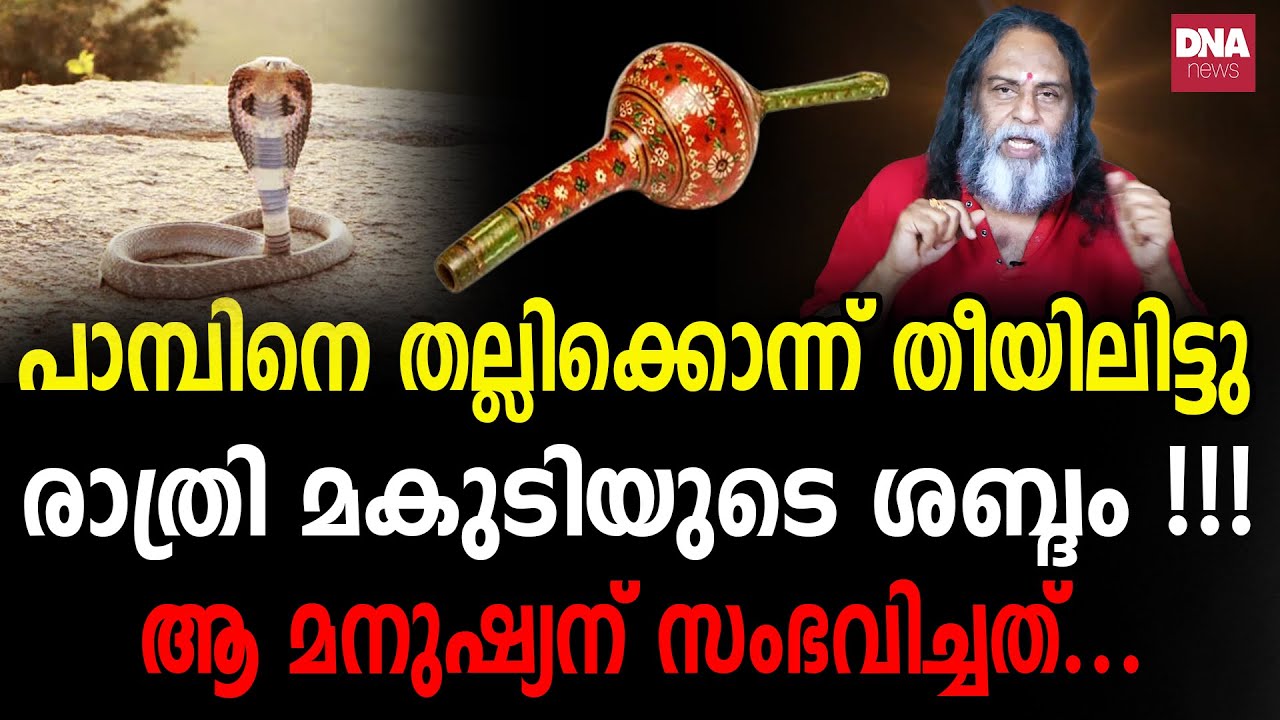 കൊത്തേണ്ടവനെ മാത്രമേ പാമ്പ് കൊത്തൂ...സർപ്പദുരിതം ഭയങ്കരം!!! | dnanewsmalayalam