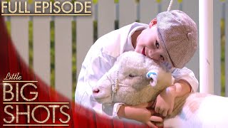 Britain’s Youngest Shepherd Visits Dawn French! | Season 1 Episode 5 | Little Big Shots UK