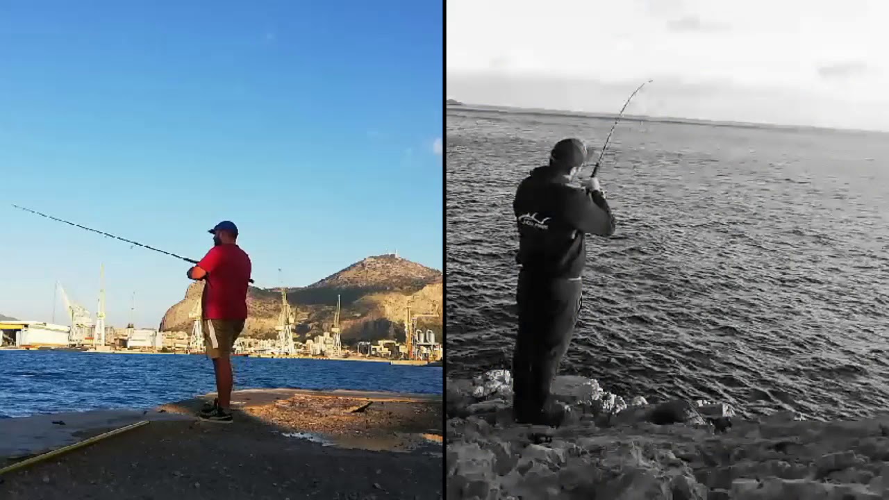 Flightcase Per Contenere 2 Pcs MOSAICOL