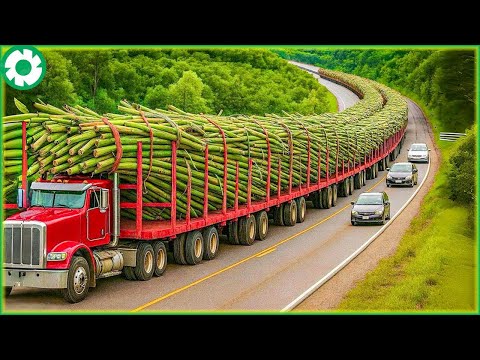 300 Unbelievable Agriculture Technology That Are At Another Level