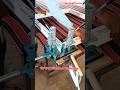 Upvc #portable Welding machine Window And Door #upvc #shorts #upvcwindows #trending