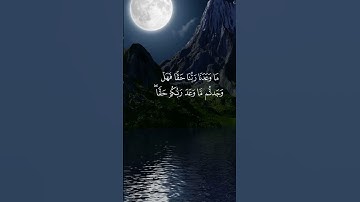 تلاوة عذبة للقارئ حسام عبدالباقي