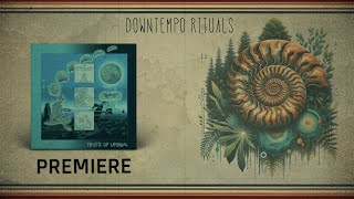 Umbra - Walk! Walk! Walk! [HARD FIST]