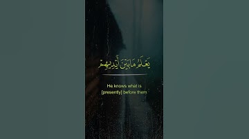 'آية الكرسي   #سعد_الغامـدي   #حالة_واتس #ﷺ #راحه_نفسيه#english#قرآن#آيات#تدبر