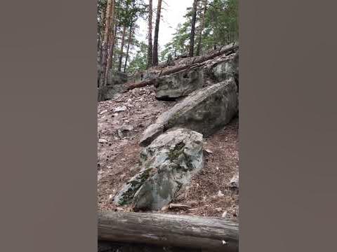 Скрипинские кучуры. Ледниковый период #shorts #lednik - YouTube