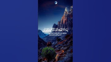 بسم الله الرحمن الرحيم القرآن الكريم #القرآن_الكريم #اكسبلور #المصحف #دويتو #duet #الرحمن #لايك
