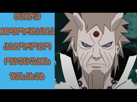 მცირე ინფორმაცია ჰაგორომო ოცუცუკის შესახებ