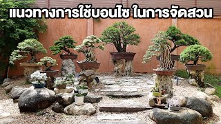 Bonsai Station [บอนไซมือใหม่ป้ายแดง] EP.31 แนวทางการใช้บอนไซในการจัดสวน