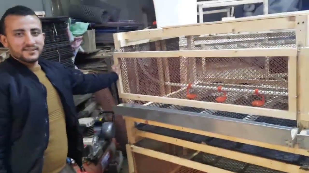 بطارية الدواجن الممتاذة في التدفئة والتربية بطارية العمر الطويل متر×240دورين اتنين سعة ٨٠ فرخ